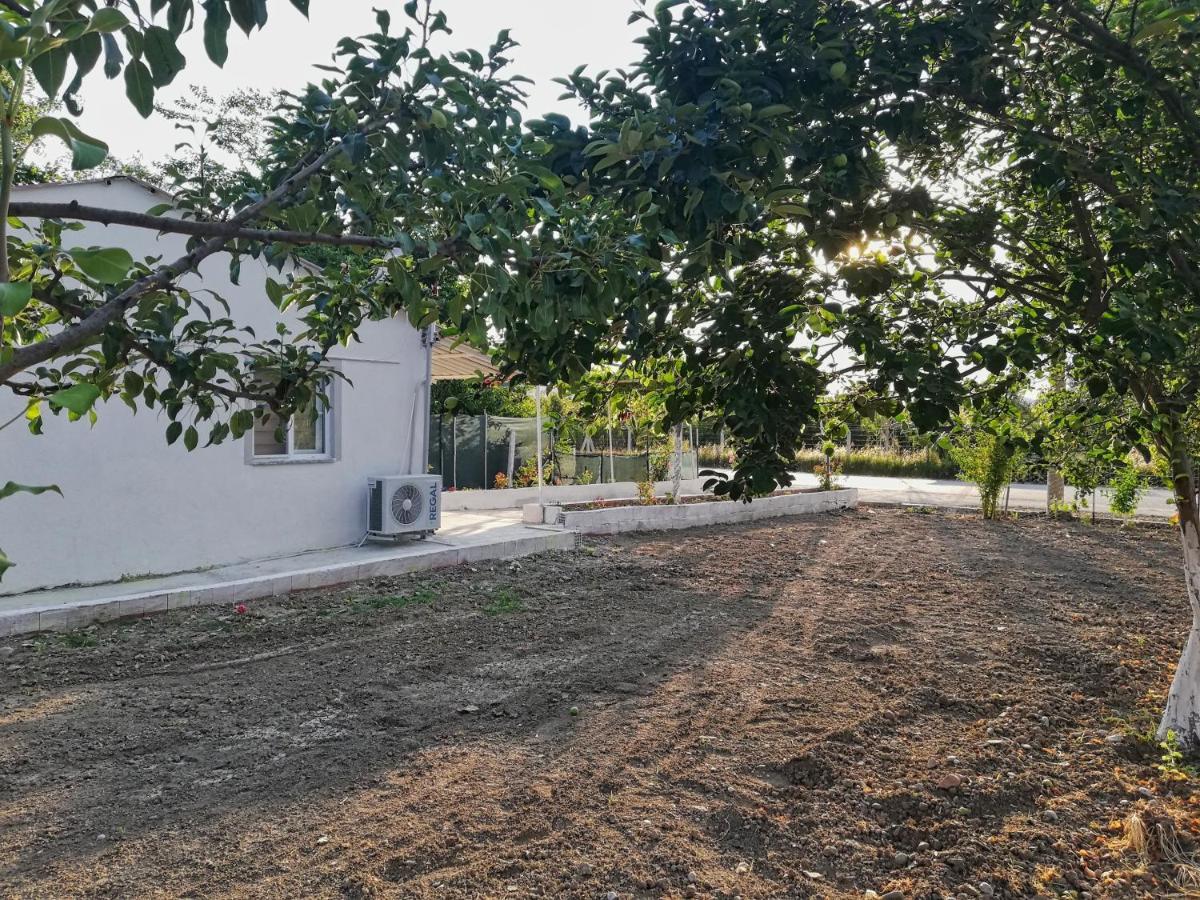 Alibaba Villa Near Airport And Beach Dalaman Eksteriør bilde