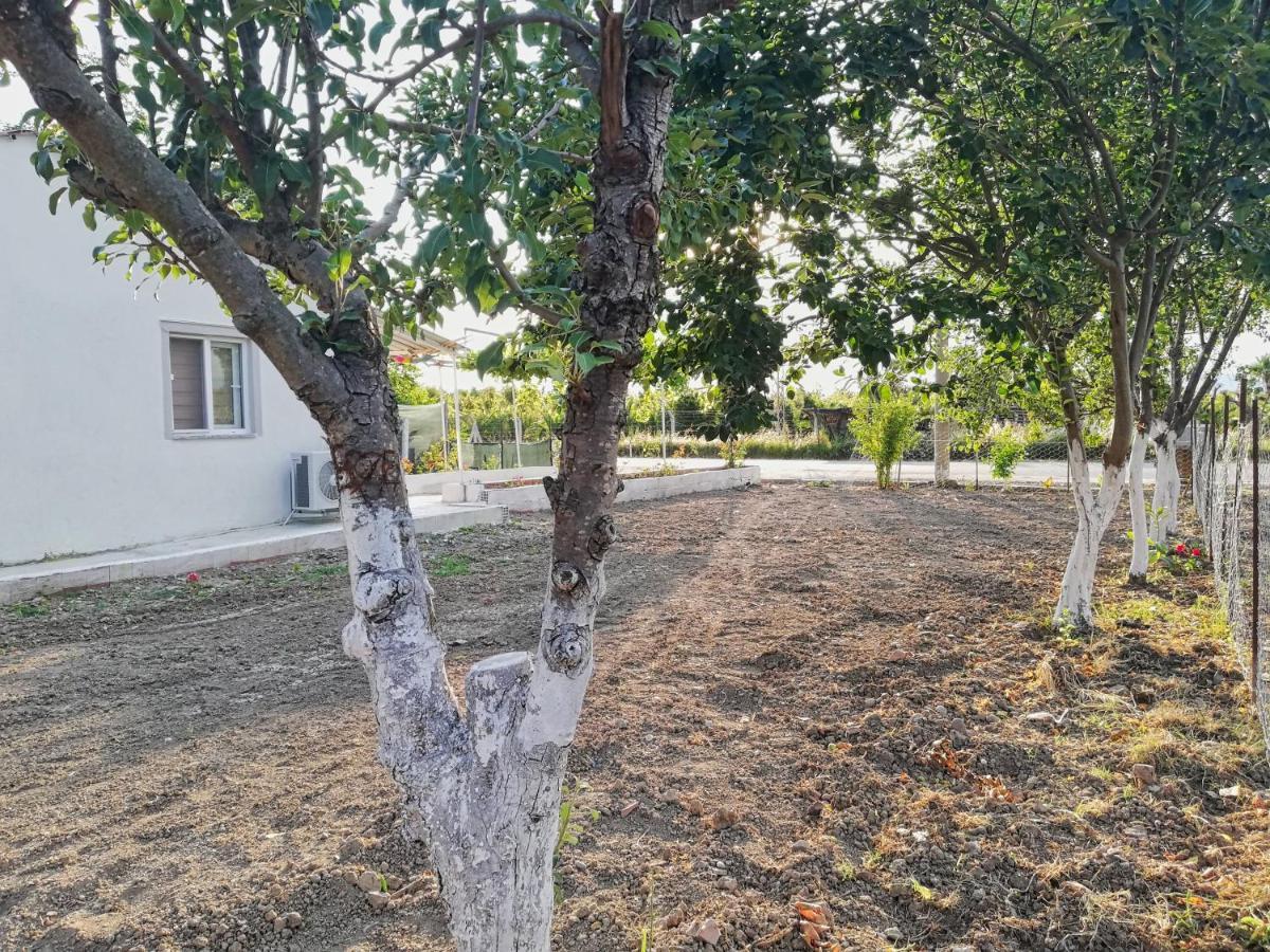 Alibaba Villa Near Airport And Beach Dalaman Eksteriør bilde